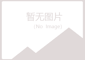 金山屯区初夏会计有限公司